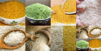 Línea de producción de arroz nutricional